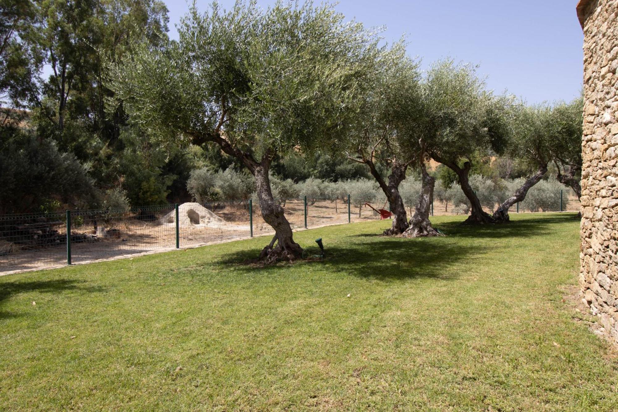 Вилла Cortijo San Antonio De Trejo Setenil De Las Bodegas Экстерьер фото
